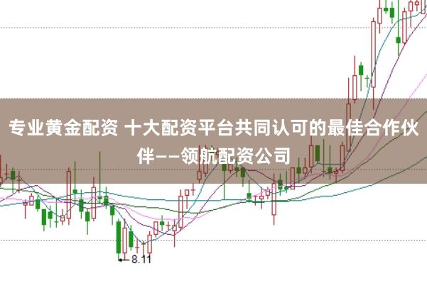 专业黄金配资 十大配资平台共同认可的最佳合作伙伴——领航配资公司