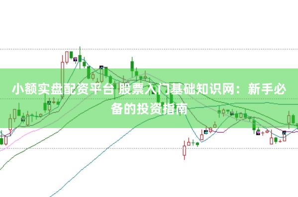 小额实盘配资平台 股票入门基础知识网：新手必备的投资指南