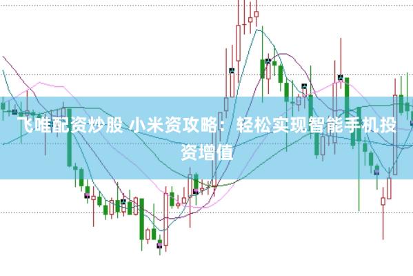 飞唯配资炒股 小米资攻略：轻松实现智能手机投资增值