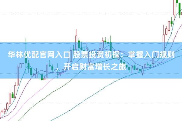 华林优配官网入口 股票投资初探：掌握入门规则，开启财富增长之旅