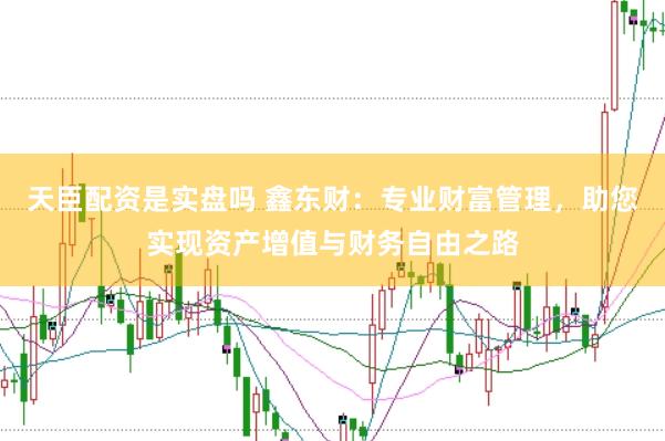 天臣配资是实盘吗 鑫东财：专业财富管理，助您实现资产增值与财务自由之路