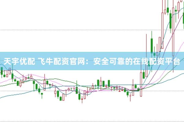 天宇优配 飞牛配资官网：安全可靠的在线配资平台