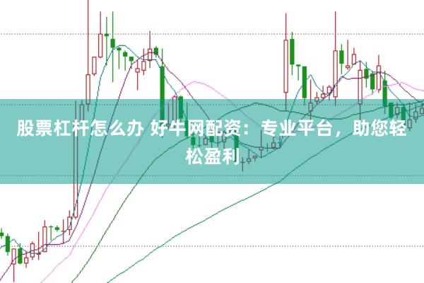 股票杠杆怎么办 好牛网配资：专业平台，助您轻松盈利