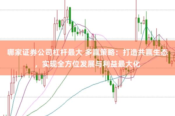 哪家证券公司杠杆最大 多赢策略：打造共赢生态，实现全方位发展与利益最大化
