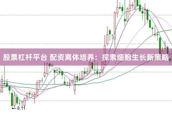 股票杠杆平台 配资离体培养：探索细胞生长新策略