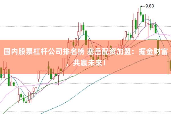 国内股票杠杆公司排名榜 塞岳配资加盟：掘金财富，共赢未来！