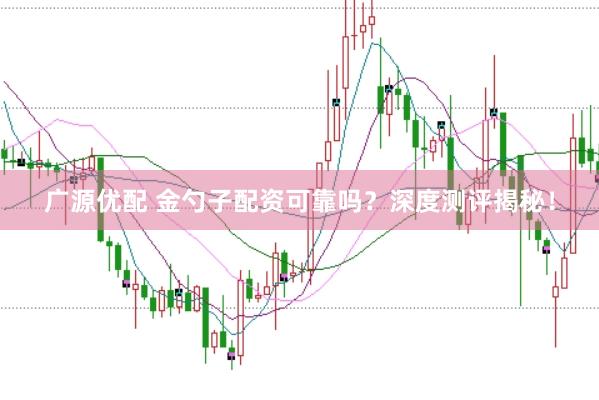 广源优配 金勺子配资可靠吗？深度测评揭秘！