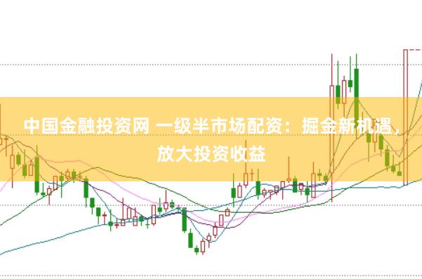 中国金融投资网 一级半市场配资：掘金新机遇，放大投资收益