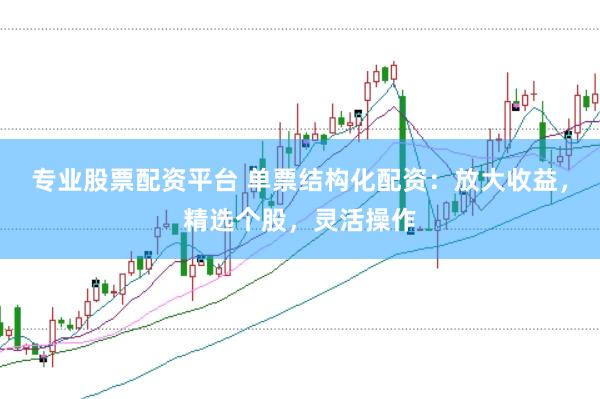专业股票配资平台 单票结构化配资：放大收益，精选个股，灵活操作