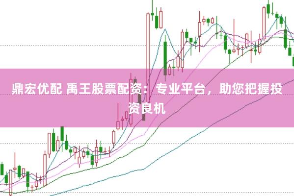 鼎宏优配 禹王股票配资：专业平台，助您把握投资良机