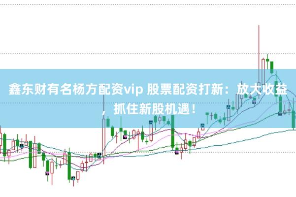 鑫东财有名杨方配资vip 股票配资打新：放大收益，抓住新股机遇！