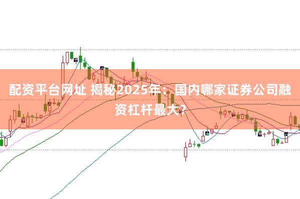 配资平台网址 揭秘2025年：国内哪家证券公司融资杠杆最大？