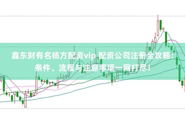 鑫东财有名杨方配资vip 配资公司注册全攻略：条件、流程与注意事项一网打尽！